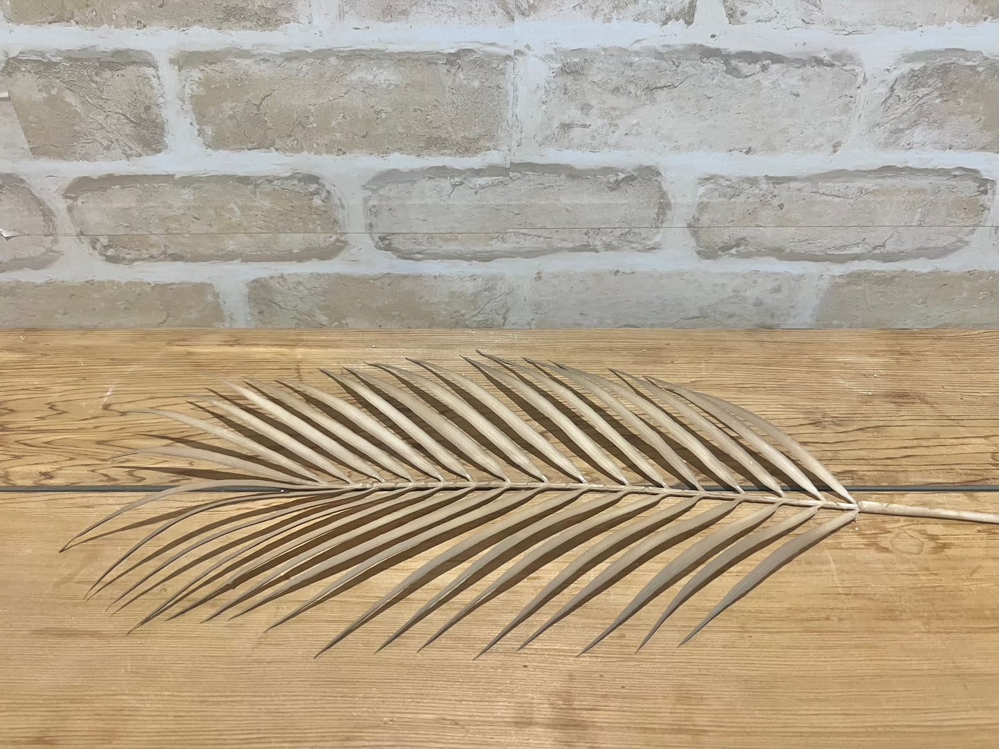 Palm Leaf Single Stem