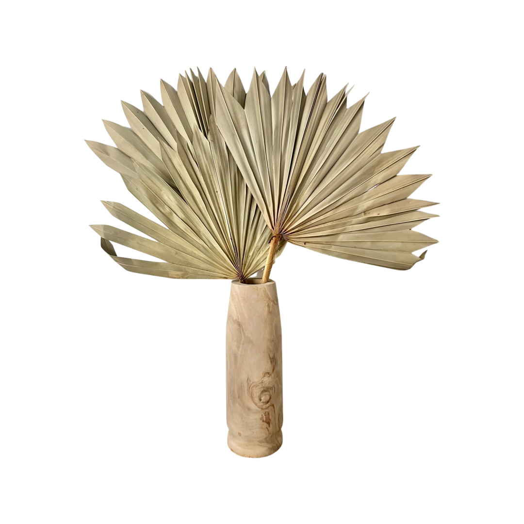 Dried Sun Palm Natural Single Stem - Large