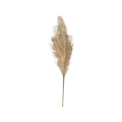 Artificial Pampas Grass Stem Single Latte