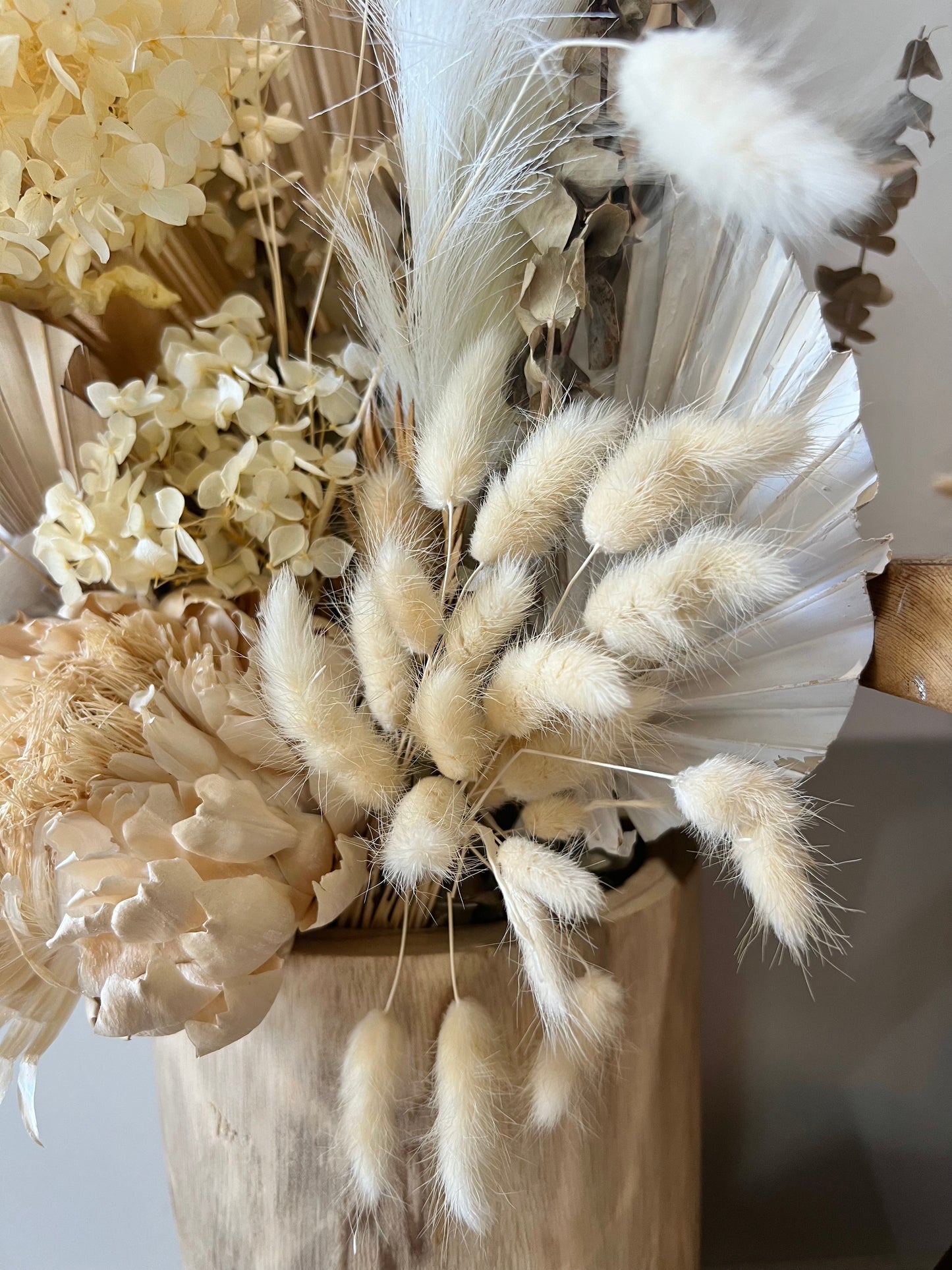 Dried Cream Bunny Tail Bunch