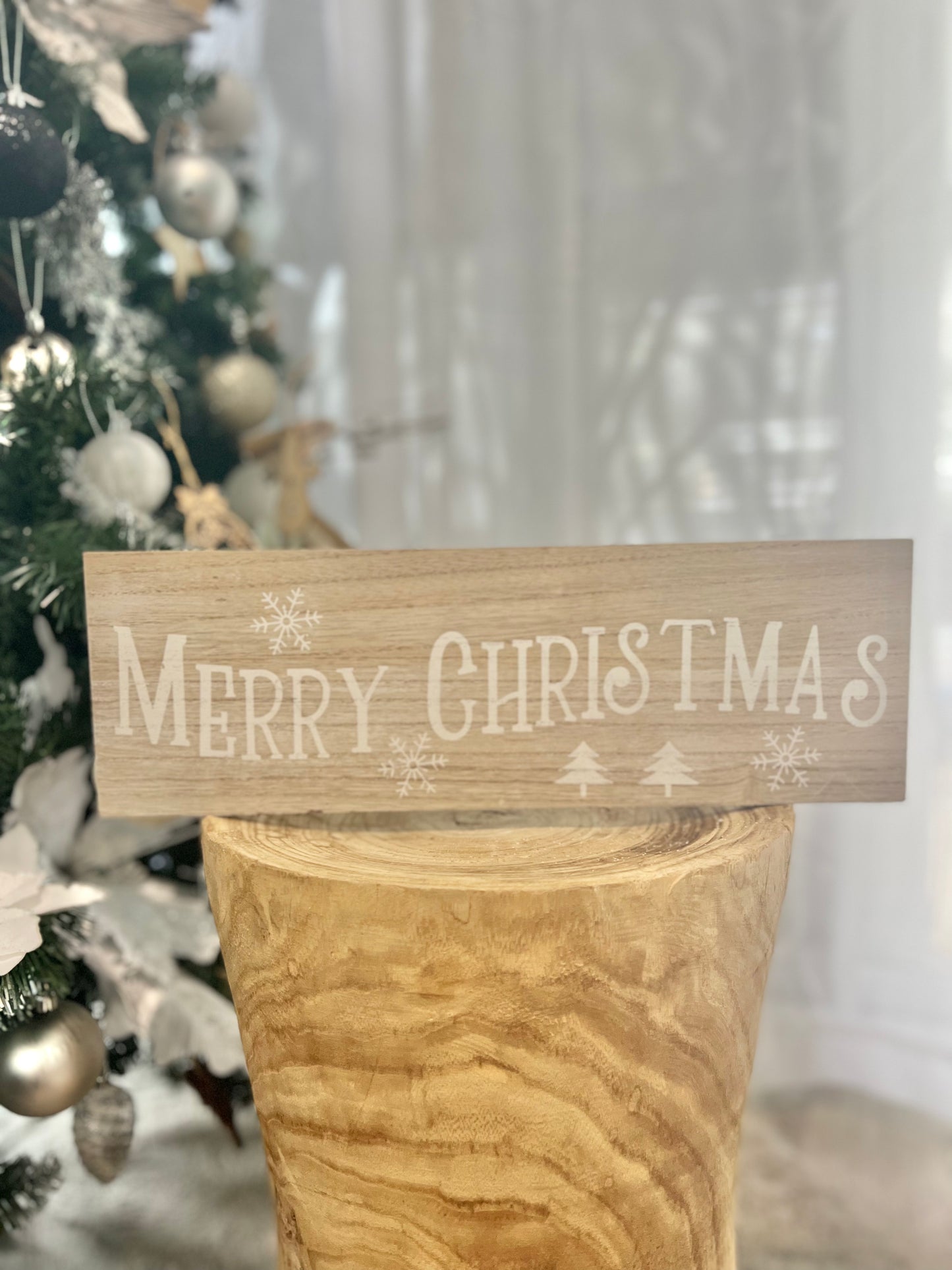 Merry Christmas Sign