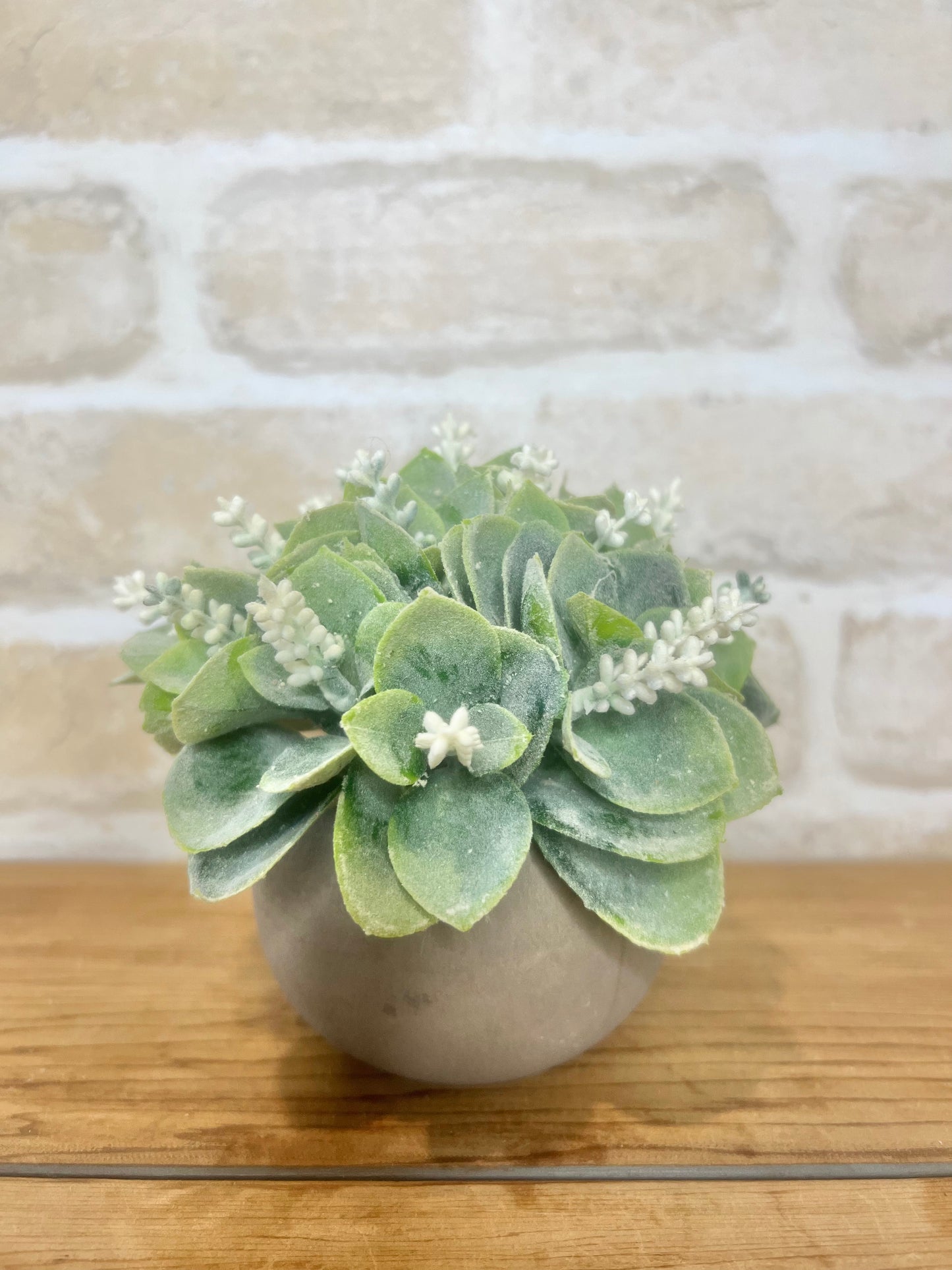 White Flowering Succulent in Round Pot - Artificial