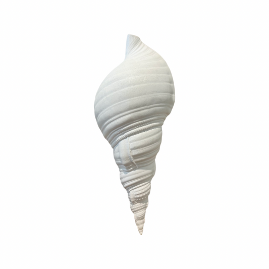 Resin Sea Snail Shell