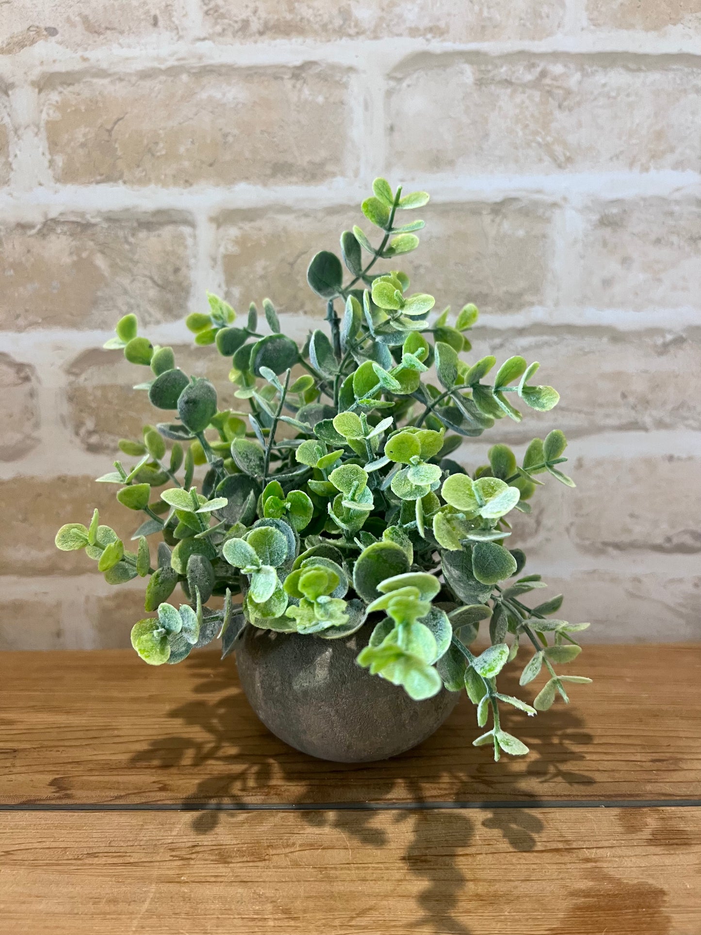 Eucalypt Bunch in Pot - Artificial