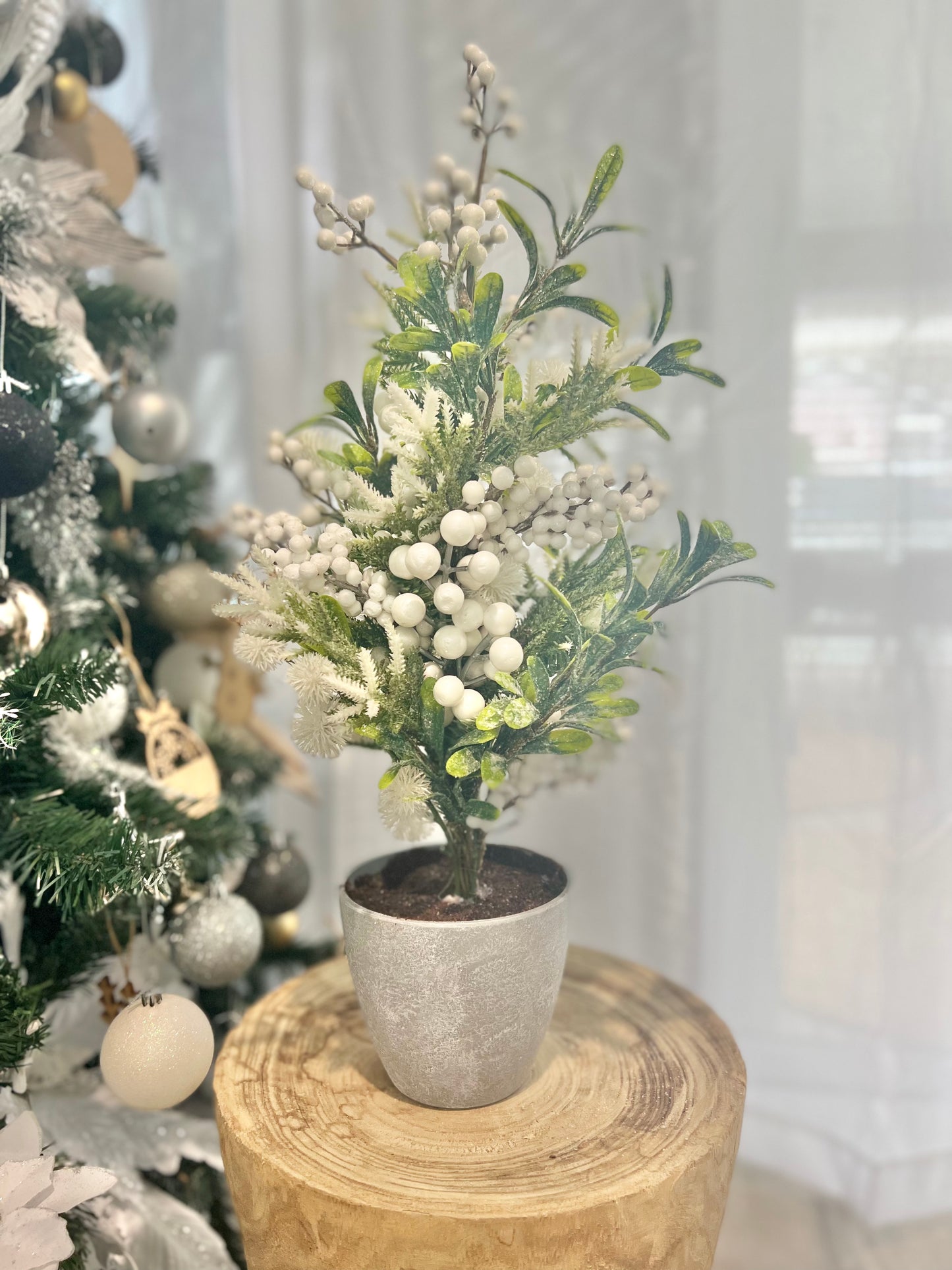 Potted Cedar Tree with Frost Tips & Berries - Christmas