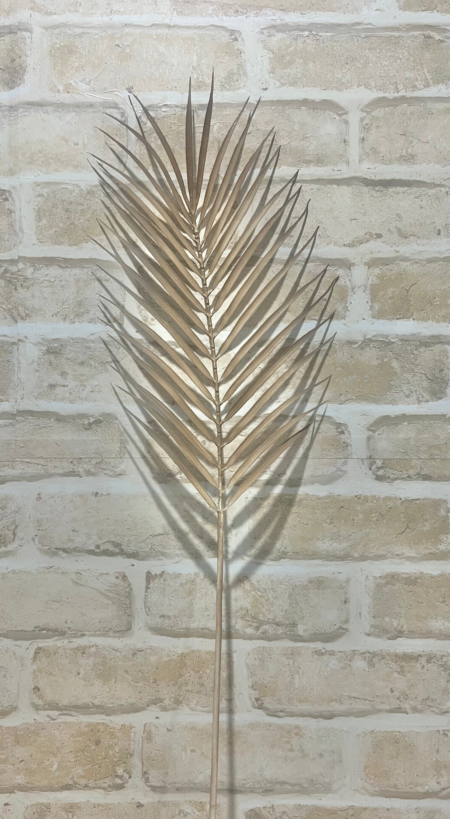 Palm Leaf Single Stem