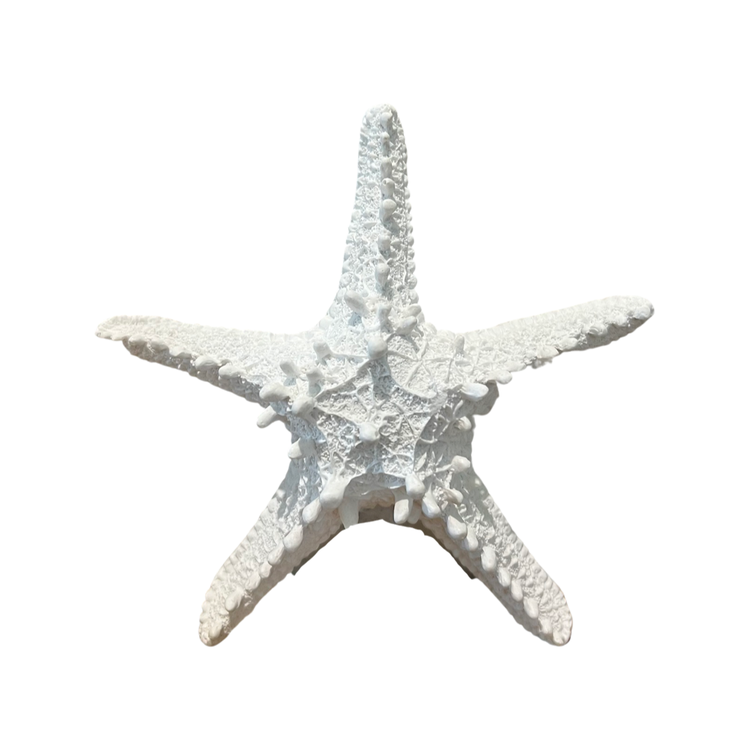 Resin Spiky Starfish