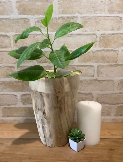 Timber Planter Tall